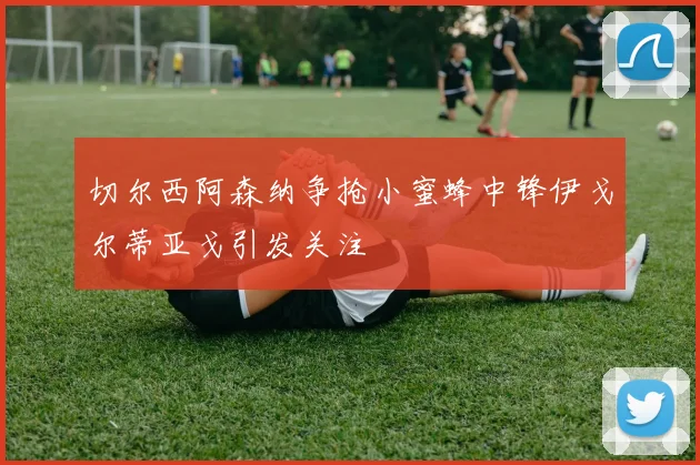 切尔西阿森纳争抢小蜜蜂中锋伊戈尔蒂亚戈引发关注
