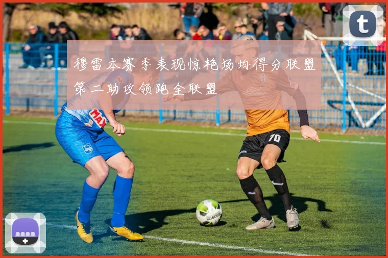 穆雷本赛季表现惊艳场均得分联盟第二助攻领跑全联盟